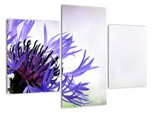 Obraz fialového květu (90x60cm)