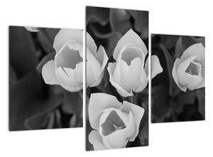 Černobílé květy (90x60cm)