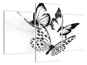 Obraz motýlů (90x60cm)