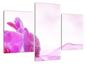 Obraz orchideje (90x60cm)