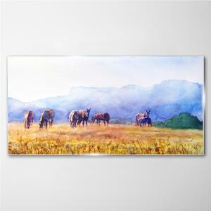Obraz na skle Obraz na skle Zvířata koně louka příroda