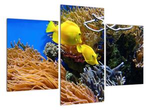 Podmořský svět - obraz (90x60cm)