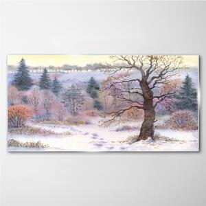 Obraz na skle Obraz na skle lesní zimní sníh příroda
