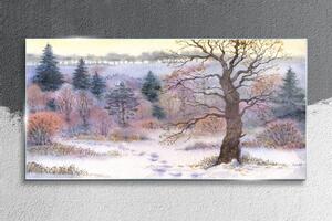 Obraz na skle Obraz na skle lesní zimní sníh příroda
