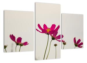 Obraz květin na stěnu (90x60cm)