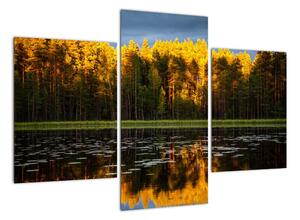 Obraz - podzimní krajina (90x60cm)