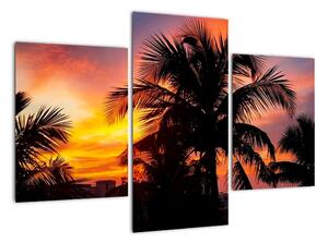 Obraz palmy na zeď (90x60cm)