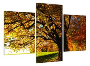Obraz podzimní krajiny (90x60cm)
