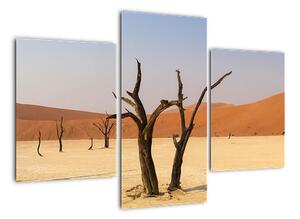 Obraz pouště (90x60cm)