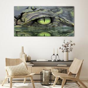 Obraz na skle Obraz na skle Zvířecí krokodýlí oční voda