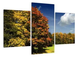 Podzimní krajina, obraz (90x60cm)