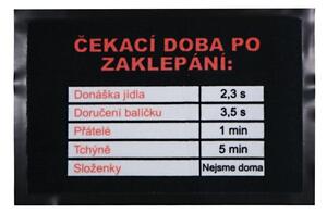 GDmats koberce Rohožka Čekací doba 40x60 cm - na ven i na doma - 40x60 cm