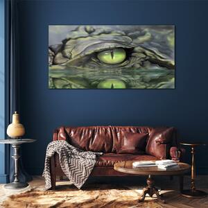 Obraz na skle Obraz na skle Zvířecí krokodýlí oční voda