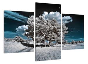 Strom v zimě, obraz na zeď (90x60cm)