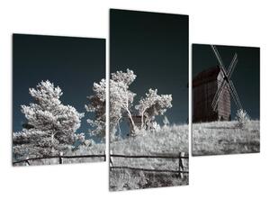 Větrný mlýn, obraz (90x60cm)