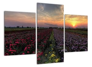 Lány květin, obrazy (90x60cm)