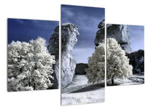 Zimní krajina - obraz do bytu (90x60cm)