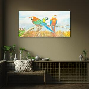 Obraz na skle Obraz na skle Zvířecí ptáci papoušek mraky