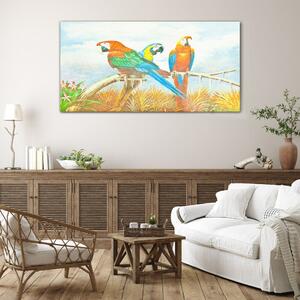 Obraz na skle Obraz na skle Zvířecí ptáci papoušek mraky