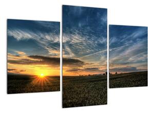 Západ slunce na poli - moderní obraz (90x60cm)