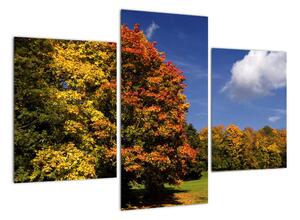 Podzimní stromy - obraz do bytu (90x60cm)