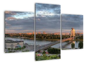 Pohled na město - obraz (90x60cm)
