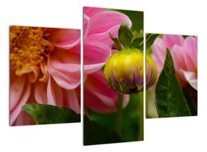 Obraz květu rostliny (90x60cm)