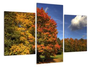 Podzimní stromy - obraz (90x60cm)