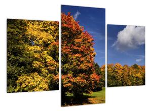 Podzimní stromy - moderní obraz (90x60cm)
