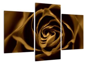 Obraz růže (90x60cm)