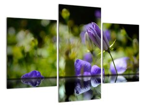 Modrá květina - obraz (90x60cm)