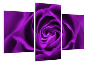 Obraz růže (90x60cm)