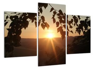 Západ slunce - obraz (90x60cm)