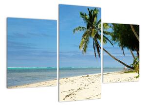 Fotka pláže - obraz (90x60cm)