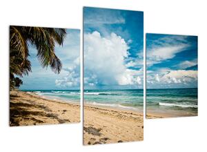 Pláž - obraz (90x60cm)