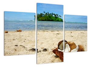 Pláž - obraz (90x60cm)