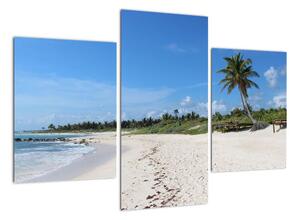 Exotická pláž - obraz (90x60cm)