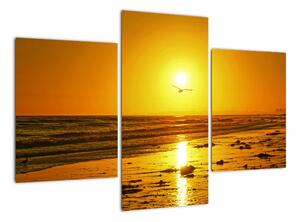 Západ slunce - obraz do bytu (90x60cm)