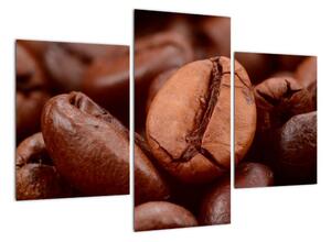 Kávové zrnko - obraz (90x60cm)
