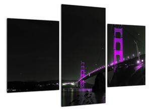 Golden Gate Bridge - obrazy (90x60cm)