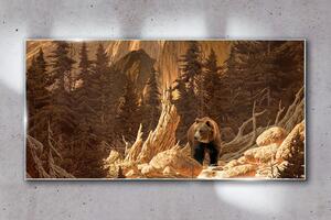 Obraz na skle Obraz na skle Lesní medvěd hor divoké zvěře