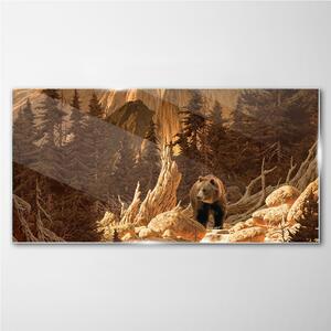 Obraz na skle Obraz na skle Lesní medvěd hor divoké zvěře