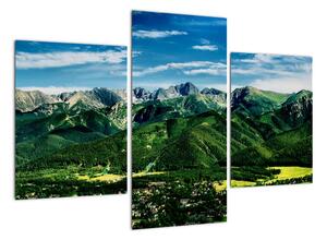 Obraz - panorama hor (90x60cm)