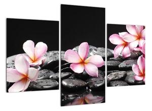 Květiny - obraz (90x60cm)