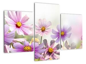 Obraz květin (90x60cm)