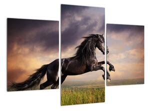 Kůň - obraz (90x60cm)