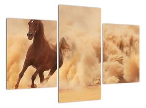 Cválající kůň - obraz (90x60cm)