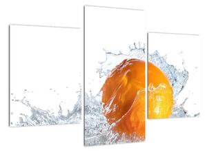 Obraz pomeranče (90x60cm)