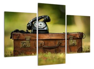 Telefon na kufru - obraz (90x60cm)