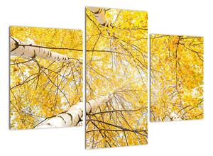 Podzimní listí - moderní obraz (90x60cm)